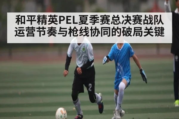 和平精英PEL夏季赛总决赛战队运营节奏与枪线协同的破局关键